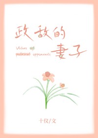 政敌的妻子