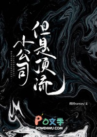 小公司,但是顶流 小公司,但是顶流