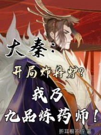 大秦开局炸丹炉,我乃九品炼药师 大秦开局炸丹炉,我乃九品炼药师